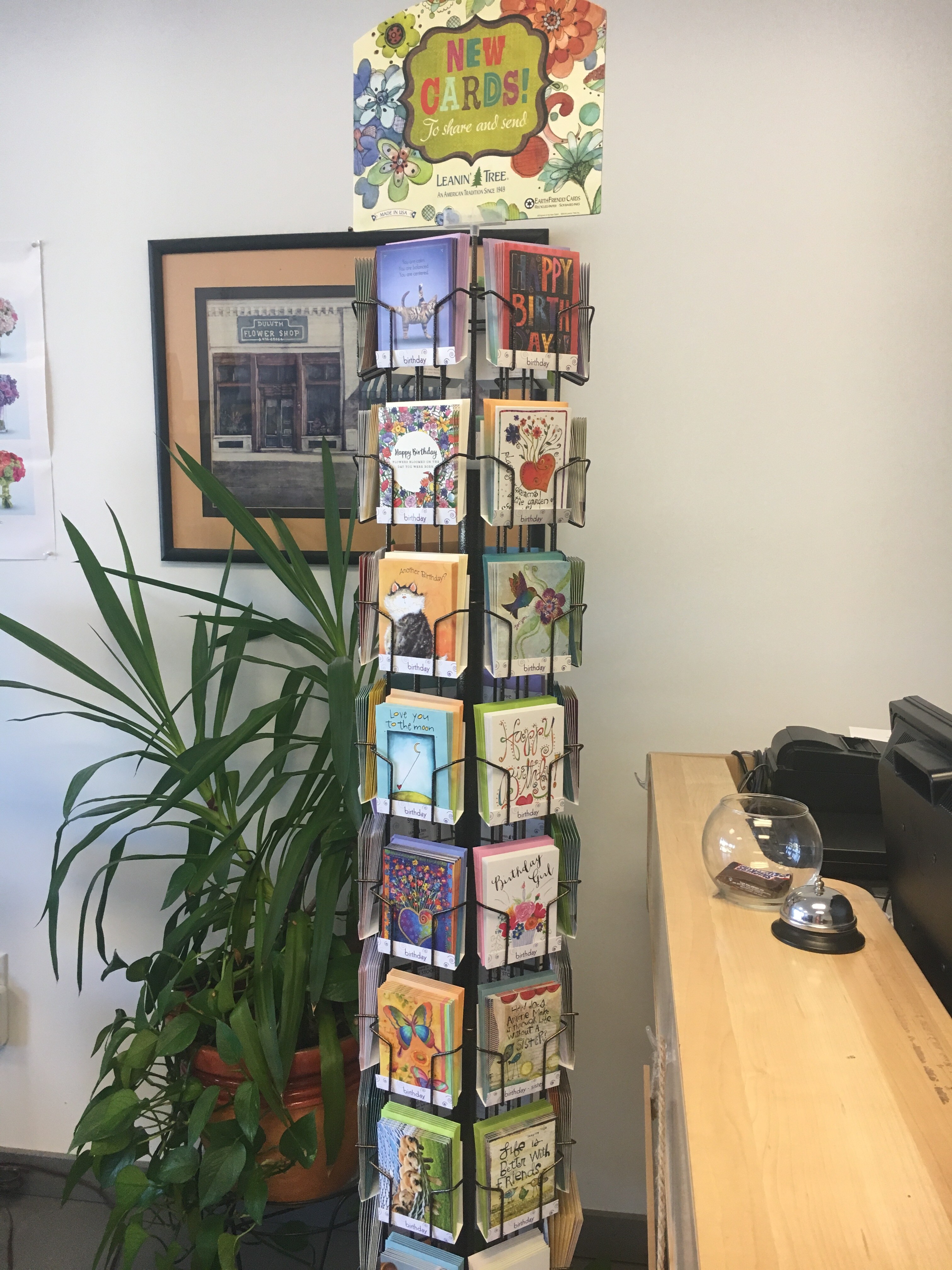 Leanin Tree Greeting Cards
